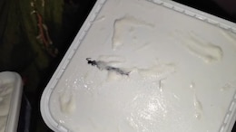 Noida Woman Finds Centipede Inside Amul Ice Cream Tub Ordered Online