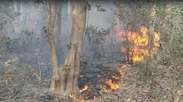 Key Highway From Delhi Closed After Forest Fire In Uttarakhand