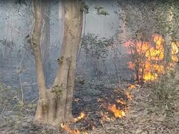 Key Highway From Delhi Closed After Forest Fire In Uttarakhand