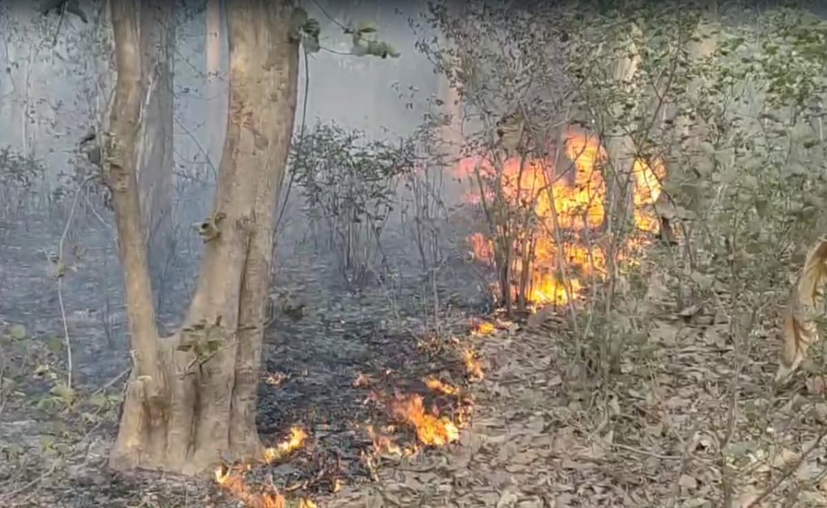 Uttarakhand Forest Fires Rage Across 208 Locations, 130 Hectares Affected