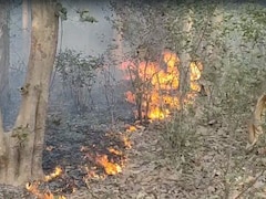 Uttarakhand Forest Fires Rage Across 208 Locations, 130 Hectares Affected