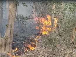Uttarakhand Forest Fires Rage Across 208 Locations, 130 Hectares Affected