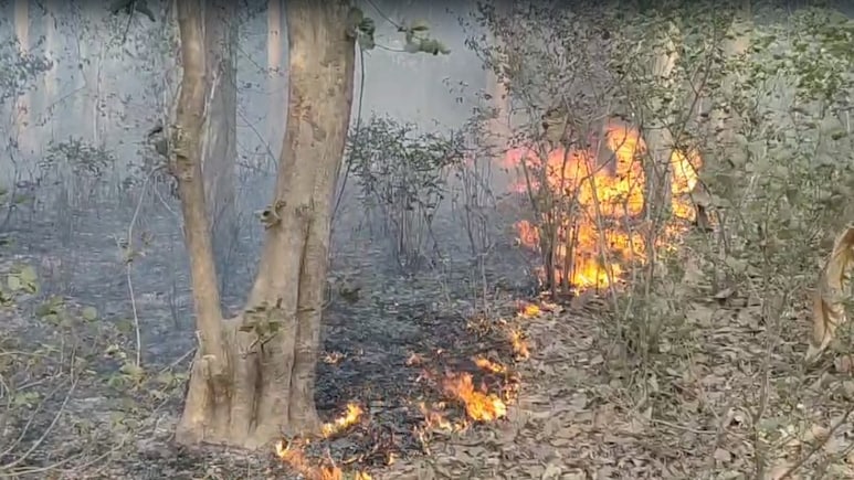Uttarakhand Forest Fires Rage Across 208 Locations, 130 Hectares Affected
