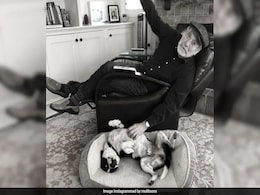 Martin Mull, Star Of <i>Roseanne</i> And <i>Clue</i>, Dies At 80. Daughter Maggie Posts Tribute Martin Mull, Star Of <i>Roseanne</i> And <i>Clue</i>, Dies At 80. Daughter Maggie Posts Tribute