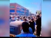 Watch: Fireworks In Afghanistan As Nation Celebrates Historic Win Over Australia In T20 World Cup