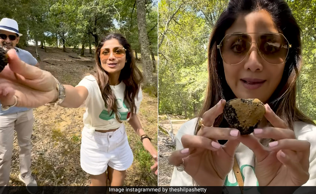 Like Shilpa Shetty's "Delicious Adventure" In Tuscany, Tick Off Truffle Hunting From Your Travel Bucket List