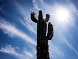 तो क्या उत्तर भारत में आसमान से बरसती रहेगी आग? आखिर क्यों सुस्त हो गया तेजी से बढ़ता मानसून