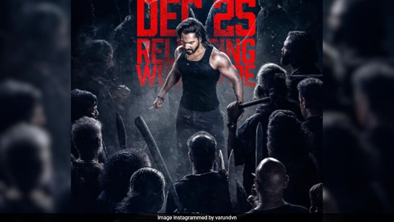वरुण धवन की रीमेक बेबी जॉन ने डूबोया ओरिजनल फिल्म का नाम, दो दिन में ही हो गया बंटाढार