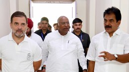 With 100 Seats, Congress Set For Biggest Tally Since 2014