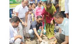 विश्व पर्यावरण दिवस पर कलेक्टर ने रोपे पौधे, पेड़ बचाओ का दिया नारा