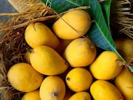 Mango side effects : क्या आम खाने से बढ़ जाता है यूरिक एसिड Mango side effects : क्या आम खाने से बढ़ जाता है यूरिक एसिड