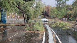 Rajasthan Weather: राजस्थान में बीते 24 घंटे के दौरान तेज आंधी के कारण दीवार और पेड़ गिरने से चार लोगों की मौत