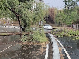 Rajasthan Weather: राजस्थान में बीते 24 घंटे के दौरान तेज आंधी के कारण दीवार और पेड़ गिरने से चार लोगों की मौत Rajasthan Weather: राजस्थान में बीते 24 घंटे के दौरान तेज आंधी के कारण दीवार और पेड़ गिरने से चार लोगों की मौत