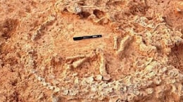 41,000 Years Old Ostrich Nest, World's Oldest, Found In Andhra