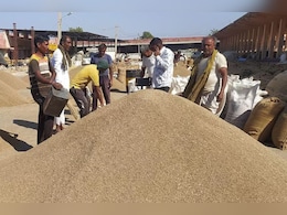 Rajasthan Mandi: राजस्थान में सरसों, मूंग और चना के दाम हुए बदलाव, जानें मंडी का ताजा भाव Rajasthan Mandi: राजस्थान में सरसों, मूंग और चना के दाम हुए बदलाव, जानें मंडी का ताजा भाव