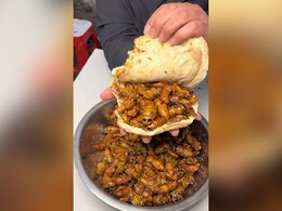 &ldquo;Chinese Burger&rdquo; Filled With Bugs Is Making The Internet &ldquo;Sick&rdquo;