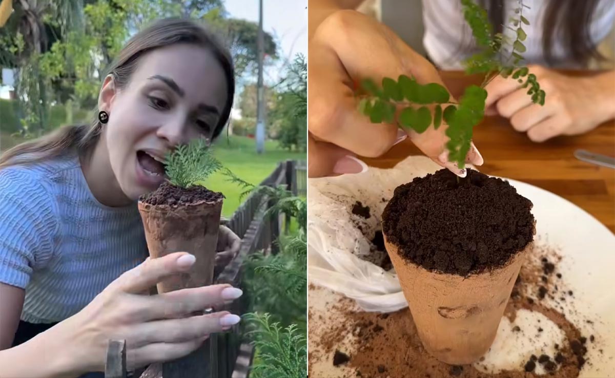 "People Eating Trees Now"? Viral Video Of Woman Biting Into 'Potted Plant' Gets Over 50 Million Views