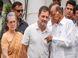 Did Sharad Pawar Dial Nitish Kumar, CB Naidu Amid Results? What He Said Did Sharad Pawar Dial Nitish Kumar, CB Naidu Amid Results? What He Said