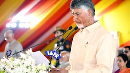 "Resuming My Duties": N Chandrababu Naidu's LinkedIn Update After Oath