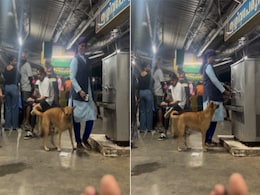 कुत्ते को लगी प्यास, परेशान होकर वॉटर कूलर के पास पहुंचा, करने लगा पानी पीने की कोशिश, महिला ने ऐसे की बेजुबान की मदद कुत्ते को लगी प्यास, परेशान होकर वॉटर कूलर के पास पहुंचा, करने लगा पानी पीने की कोशिश, महिला ने ऐसे की बेजुबान की मदद