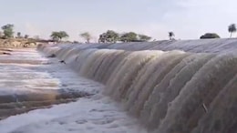 बूंदी में बारिश बनी आफत! नाले में गिरा युवक तो करंट लगने से 11 भैंस की मौत