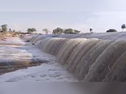 बूंदी में बारिश बनी आफत! नाले में गिरा युवक तो करंट लगने से 11 भैंस की मौत
