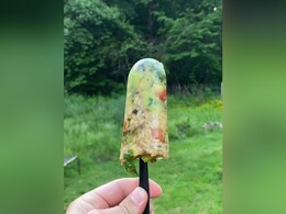 "Ilegal": Man Prepares Popsicles From Noodle Soup, Meat And Veggies. Internet Can't Digest It