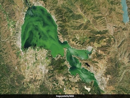 California's Clear Lake Turns Green With Algae, Visible From Space, Says NASA California's Clear Lake Turns Green With Algae, Visible From Space, Says NASA