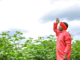 Chhattisgarh में मानसून की एंट्री: प्यासे किसान-जलाशयों को बारिश का इंतजार, आसमान की ओर लगा रहे टकटकी