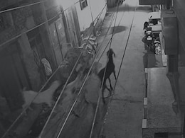 VIDEO : बकरीद के लिए खरीदे 2 लाख के 6 बकरे, अंधेरे में चोर ताला तोड़ ले गए चुरा