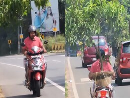 भीषण गर्मी में शख्स ने लगाया कमाल का जुगाड़, अपने साथ लेकर चलता दिखा पेड़, सोशल मीडिया पर लोग बोले- कमाल का आइडिया है भीषण गर्मी में शख्स ने लगाया कमाल का जुगाड़, अपने साथ लेकर चलता दिखा पेड़, सोशल मीडिया पर लोग बोले- कमाल का आइडिया है