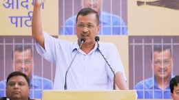 Highlights: Arvind Kejriwal Returns To Tihar Jail After Campaigning For Lok Sabha Polls
