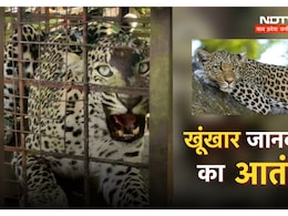 सीहोर में हिंसक जानवरों से दहशत ! अब वन विभाग बताएगा बचाव के तरीके सीहोर में हिंसक जानवरों से दहशत ! अब वन विभाग बताएगा बचाव के तरीके