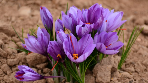 Latest and Breaking News on NDTV Latest and Breaking News on NDTV