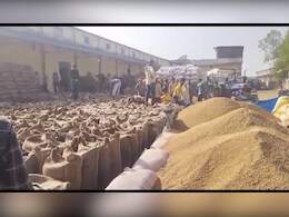 Corruption: पन्ना में किसानों से खरीदा गया एक हजार क्विटल गेहूं, पर गोदाम पहुंचने से पहले ही हो गया गायब