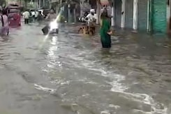 किसानों के लिए वरदान बनी बारिश तो वहीं जल भराव से तंग हुए लोग किसानों के लिए वरदान बनी बारिश तो वहीं जल भराव से तंग हुए लोग