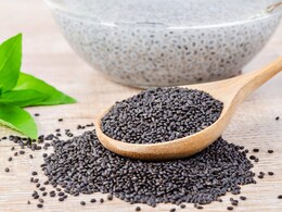 Why Sabja Seeds Are A Must-Have This Summer: 5 Health Benefits You Should Know Why Sabja Seeds Are A Must-Have This Summer: 5 Health Benefits You Should Know