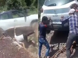 अचानक पहाड़ से नीचे गिरी कार, ड्राइवर का हाल देख कांप उठेगा कलेजा, कमजोर दिल वाले न देखें VIDEO अचानक पहाड़ से नीचे गिरी कार, ड्राइवर का हाल देख कांप उठेगा कलेजा, कमजोर दिल वाले न देखें VIDEO