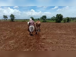 MP में मक्का किसानों को दूसरे साल भी थमा दिए अमानक बीज, लापरवाही पर नपे ये अफसर.. MP में मक्का किसानों को दूसरे साल भी थमा दिए अमानक बीज, लापरवाही पर नपे ये अफसर..
