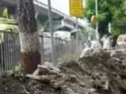 तांबे का तार चुराने के लिए चोरों ने खोद डाली पूरी की पूरी सड़क, लोग समझते रहे नगर निगम कर्मचारी तांबे का तार चुराने के लिए चोरों ने खोद डाली पूरी की पूरी सड़क, लोग समझते रहे नगर निगम कर्मचारी