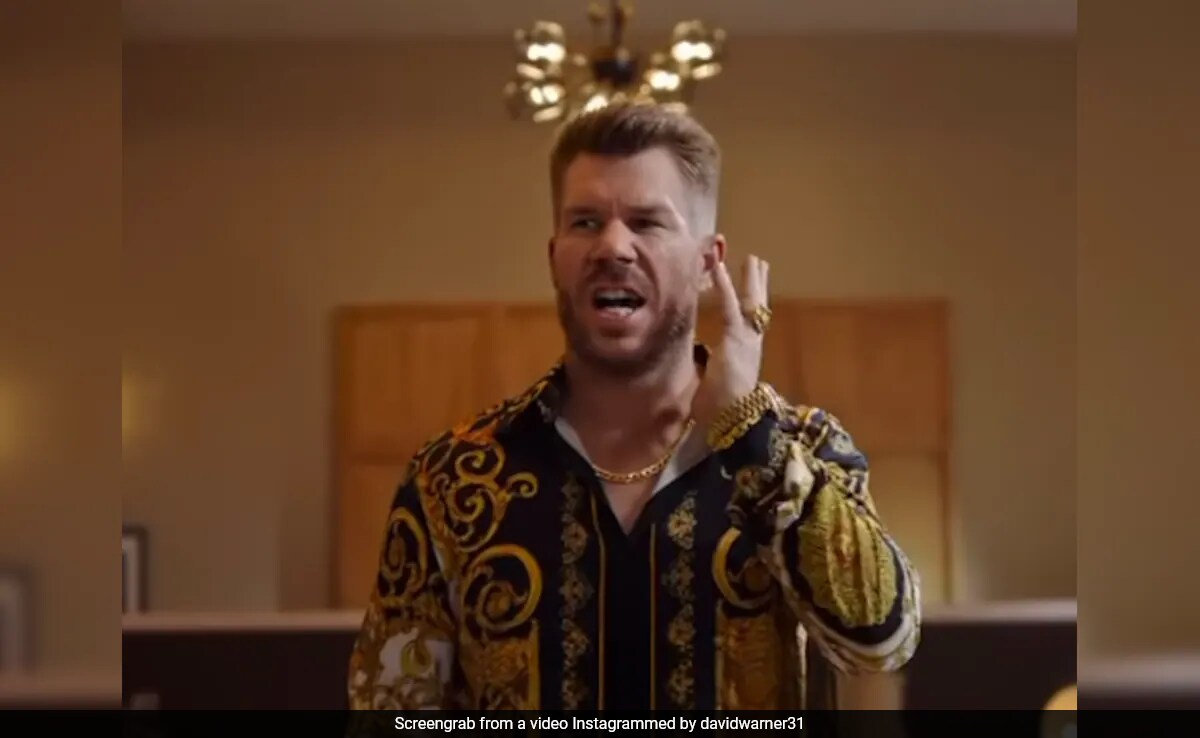 Fanboy David Warner Channels His Inner Pushpa In New Advert. Allu Arjun's Reaction