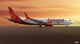 SpiceJet Told To Pay Flier Rs 55,000 For Burger, Fries During 14-Hour Delay