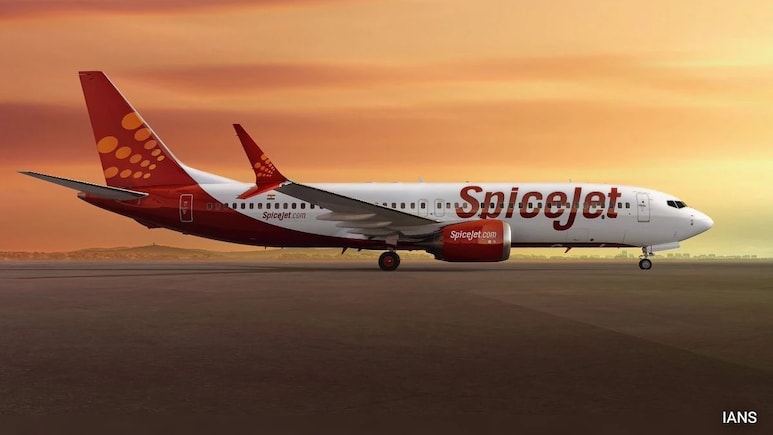 SpiceJet Told To Pay Flier Rs 55,000 For Burger, Fries During 14-Hour Delay