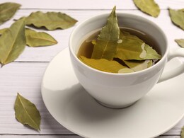 इन 4 लोगों को जरूर करना चाहिए इस पत्ते की चाय का सेवन, लिस्ट में जानें कौन-कौन लोग शामिल इन 4 लोगों को जरूर करना चाहिए इस पत्ते की चाय का सेवन, लिस्ट में जानें कौन-कौन लोग शामिल