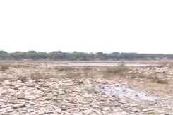 रायपुर की ये नदी क्यों  है सूखने की कगार पर ? रायपुर की ये नदी क्यों  है सूखने की कगार पर ?