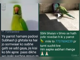 Rajasthan: 'तोता लाओ 10 हजार इनाम पाओ', महिला कांस्टेबल का 'बिट्टू' हुआ लापता, सोशल मीडिया पर ढूंढने की लगाई गुहार