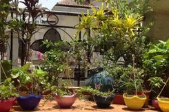 बिलासपुर: 80 साल की उम्र में भी पर्यावरण को बचाने में जुटे ये दंपती