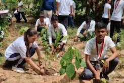 बैतूल: क्लास में मोबाइल चलाते पकड़े गए छात्र तो मिली ये अनोखी सजा!