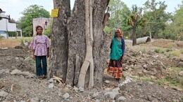 Indore Residents Launch Mega Campaign To Save Trees