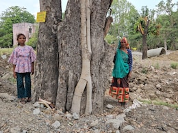 Indore Residents Launch Mega Campaign To Save Trees